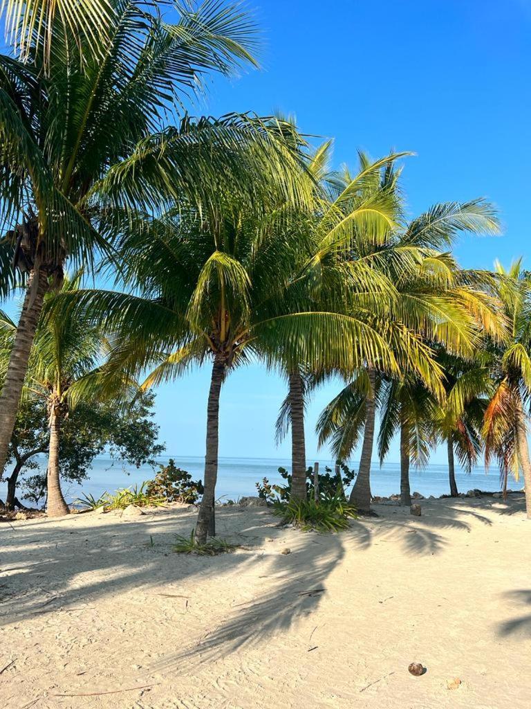 Casa Calamar Isla Holbox Екстериор снимка
